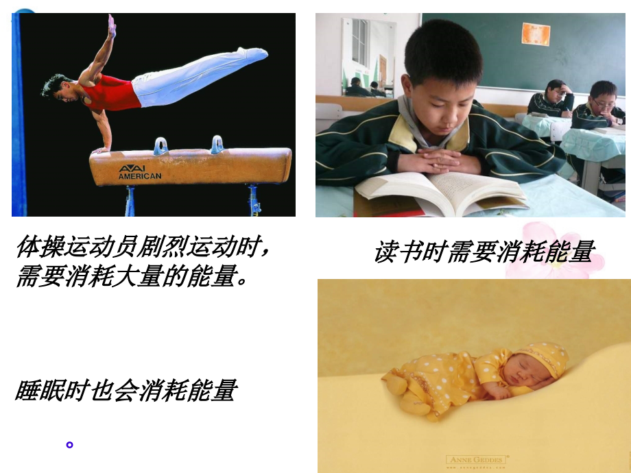 七年级生物下册 第十章 第五节 人体能量的供给课件3 （新版）苏教版.ppt_第1页