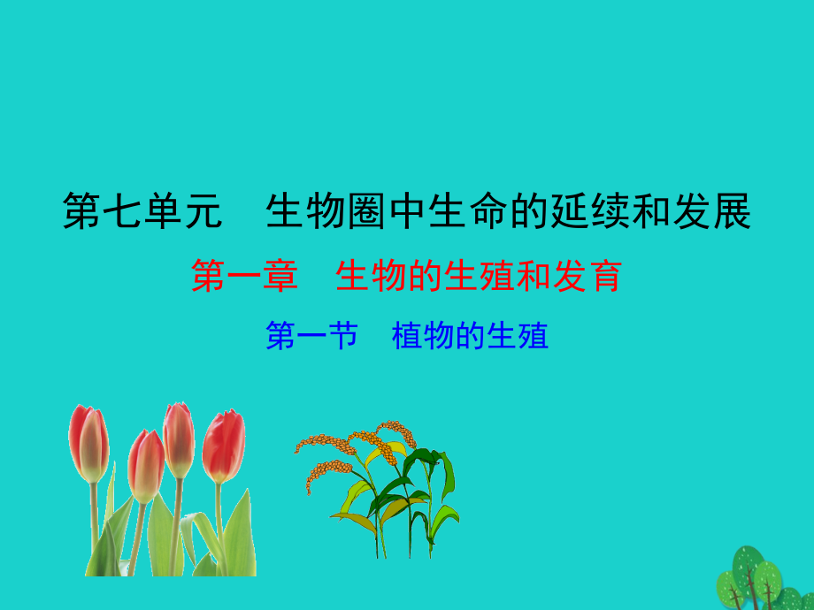 八年级生物下册 7.1.1 植物的生殖课件 八年级生物下册 7.1.1 植物的生殖课件+素材(新版)新人教版 八年级生物下册 7.1.1 植物的生殖课件+素材(新版)新人教版-2.ppt_第1页