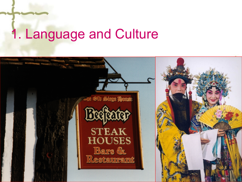 Language, Culture, and Society.ppt_第2页