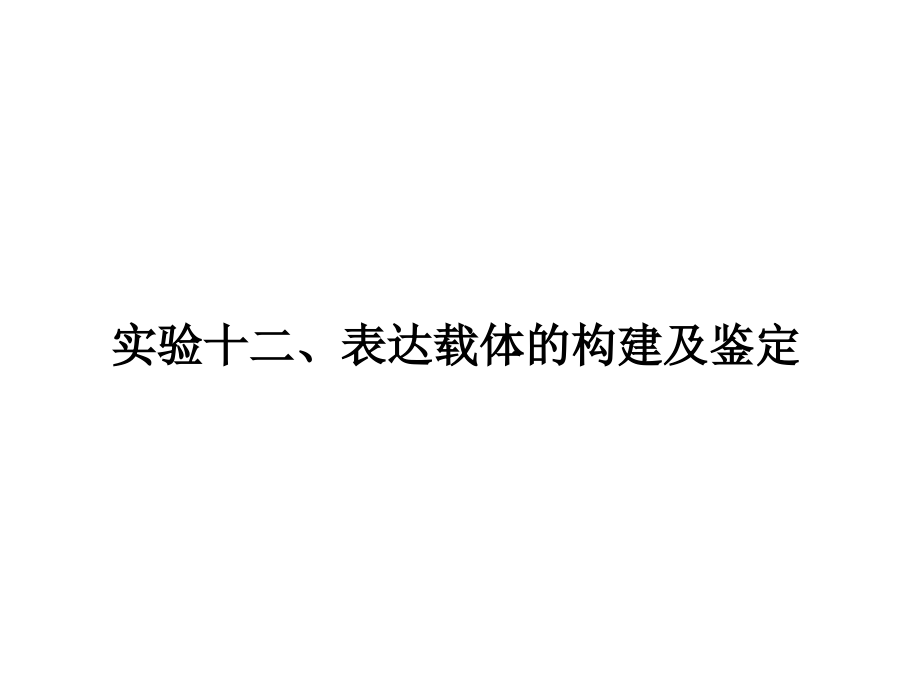 实验十五、、表达载体的构建.ppt_第1页