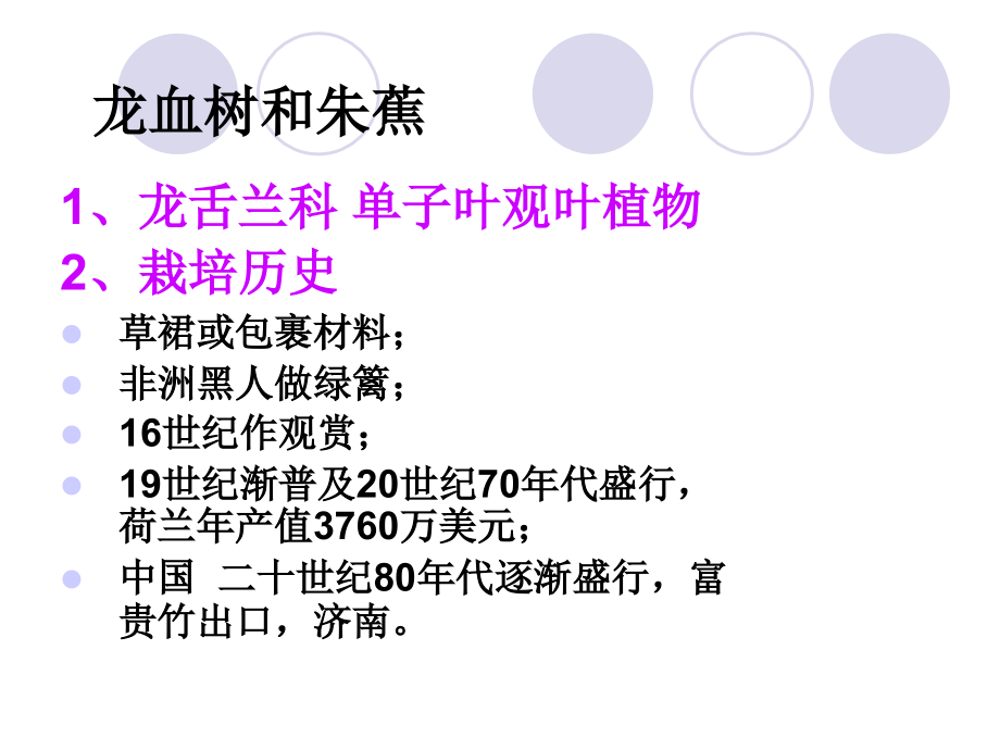 室内观叶花卉.ppt_第1页