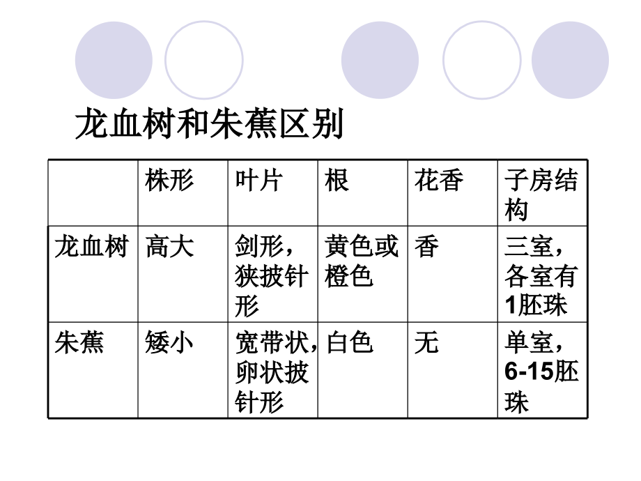 室内观叶花卉.ppt_第2页