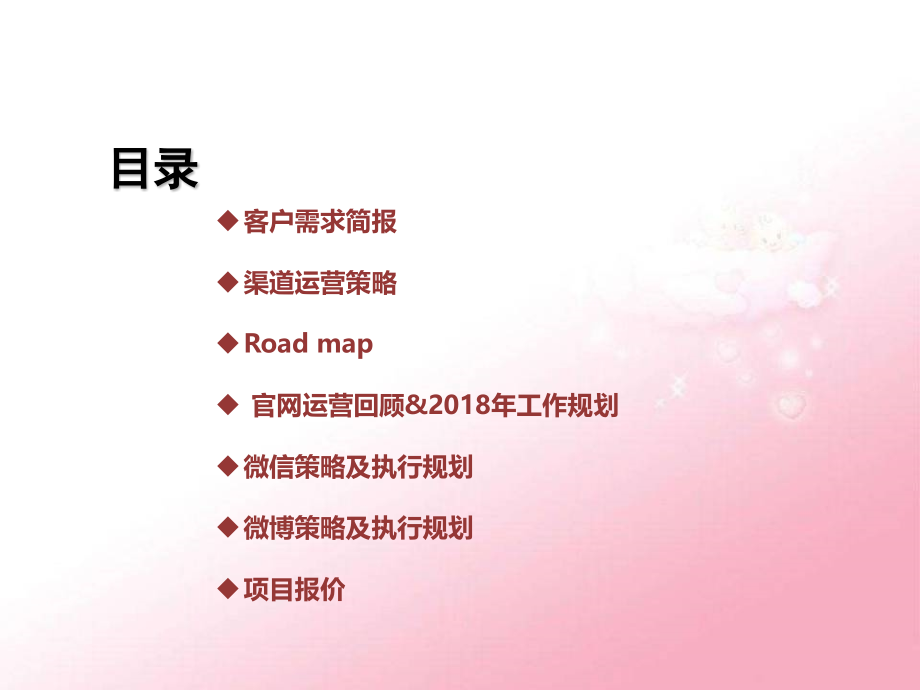 2018年自媒体运营方案.ppt_第2页