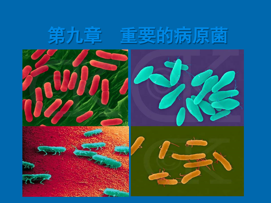 第九章-重要的病原菌.ppt_第1页