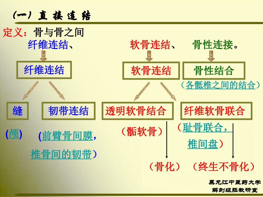 正常人体解剖学 第二节 关节学1.ppt_第2页