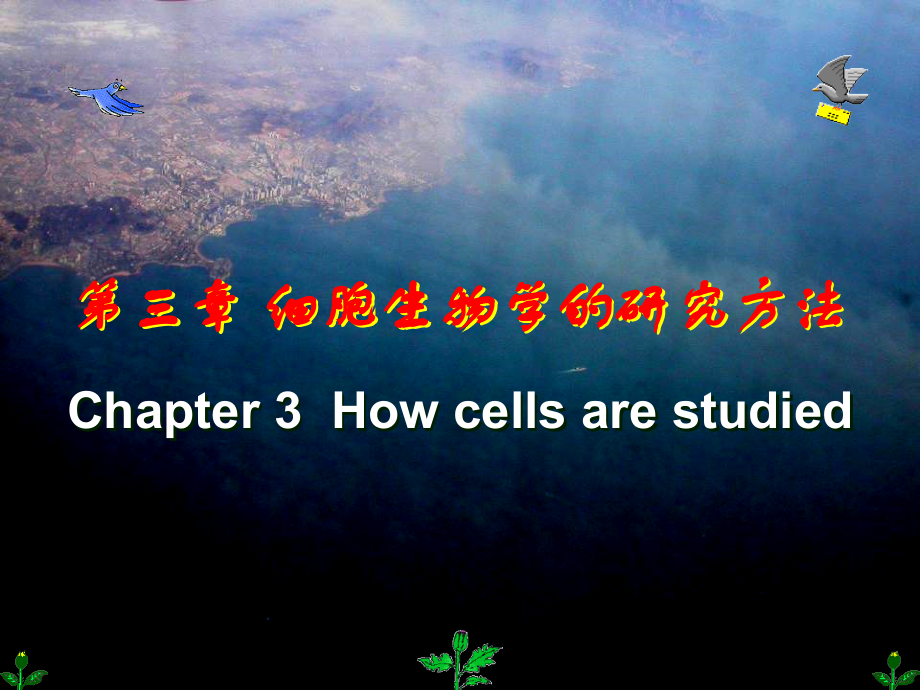 第03章 细胞生物学的研究方法.ppt_第1页