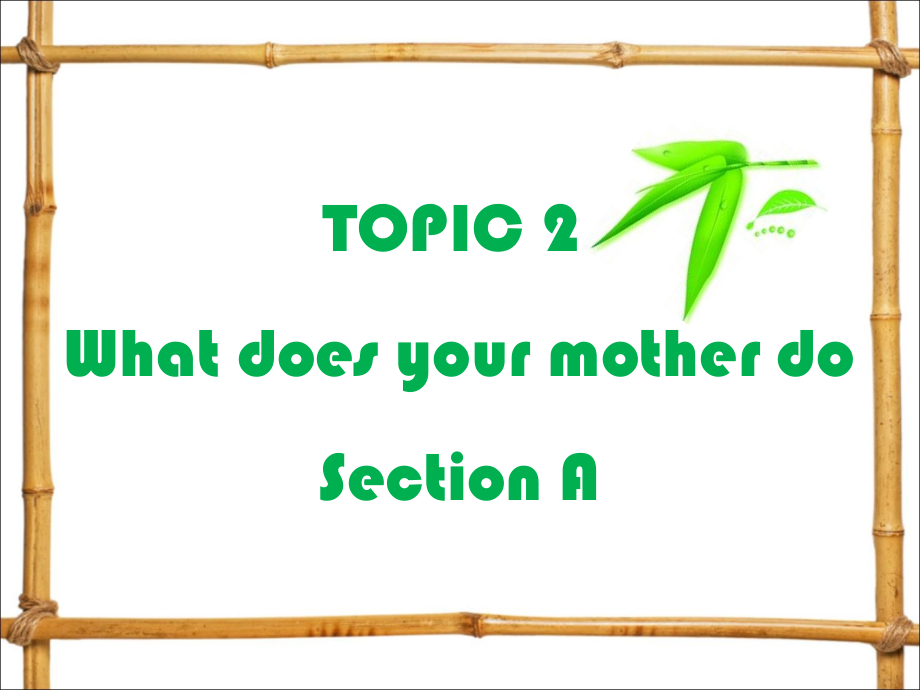 UNIT-3-Getting-Together-TOPIC-2-What-does-your-mother-do-Section-A-课件1.ppt_第2页
