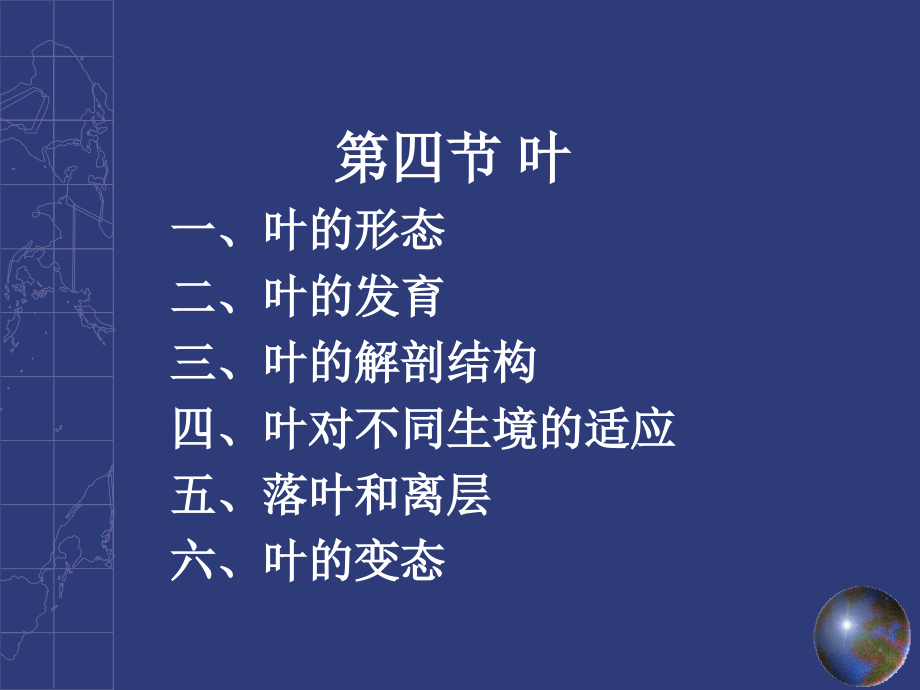 植物的营养器官-叶.ppt_第1页