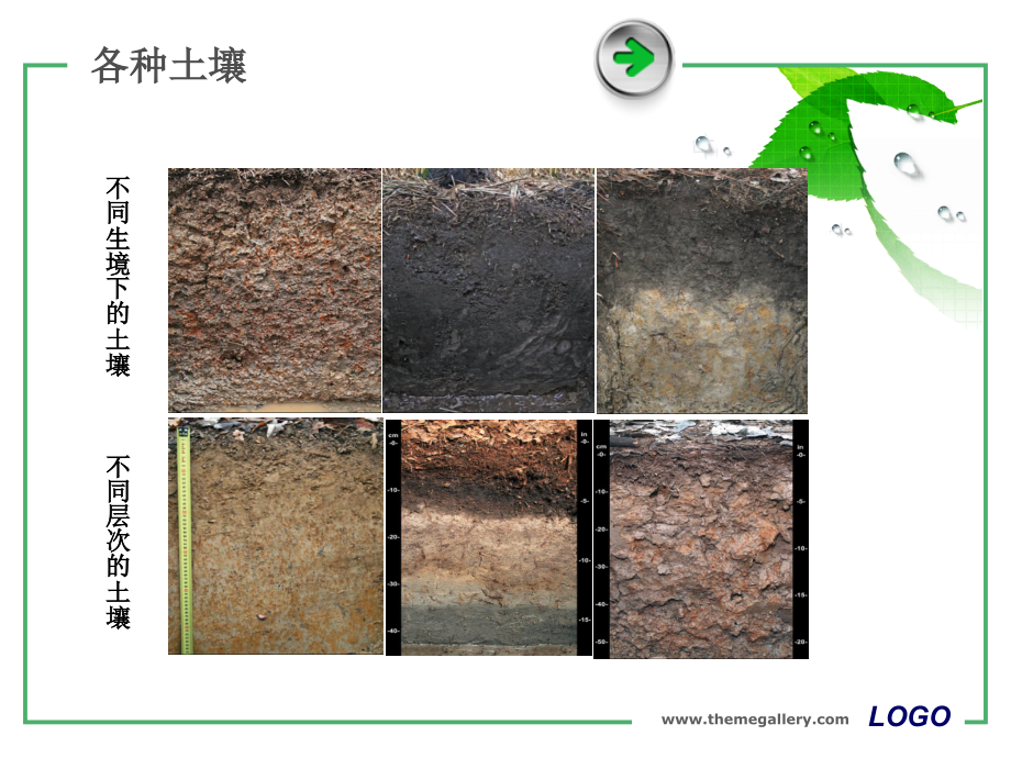 土壤碳全量的测定.ppt_第2页