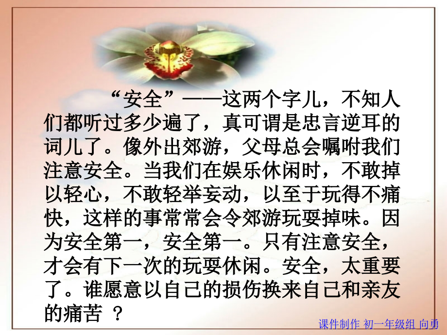 关注安全_珍爱生命.ppt_第2页