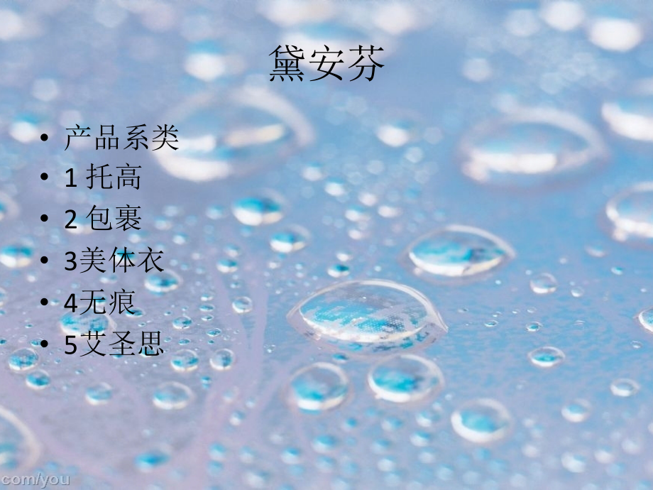黛安芬内衣系列.pptx_第1页