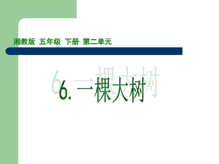 一棵大树.ppt_第1页