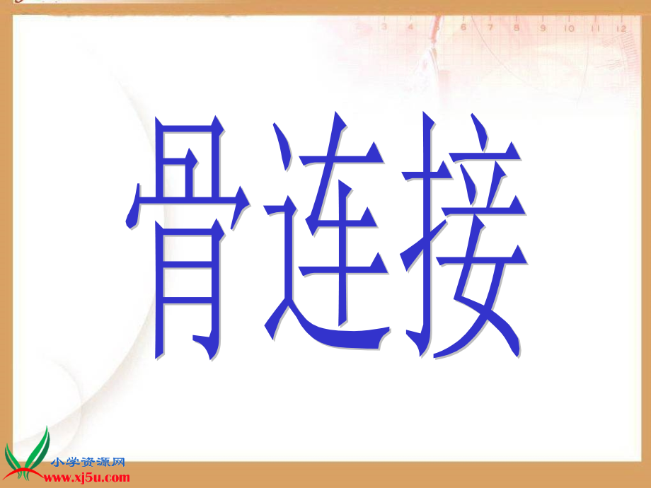 (青岛版)三年级科学下册课件 关节 3.ppt_第2页