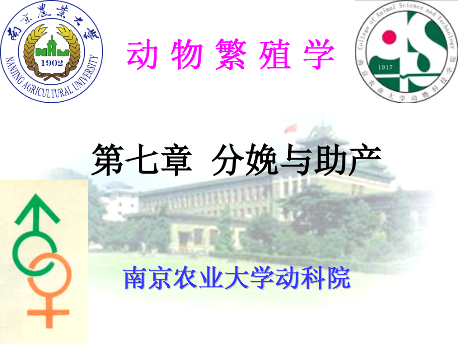 南农动物繁殖学课件第七章.ppt_第1页