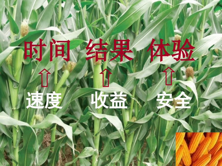 小学语文有效课堂教学的提问和反馈策略.ppt_第1页