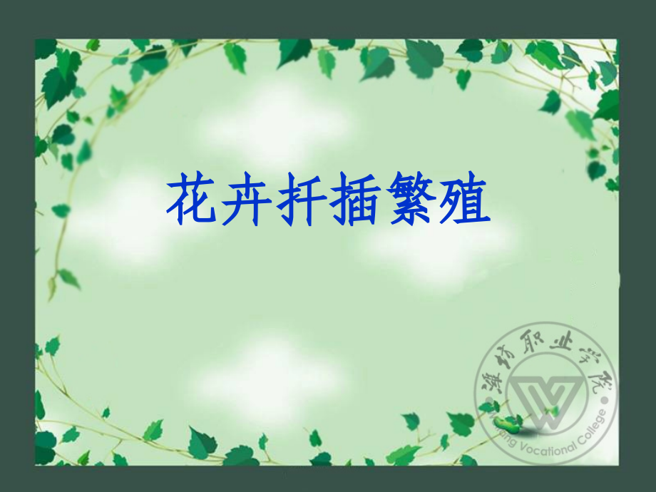 花卉扦插繁殖.ppt_第1页