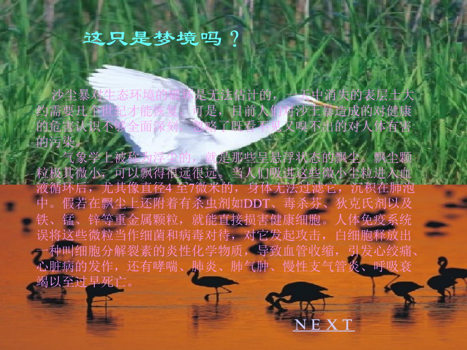 历史上的宁夏不是今天这样被沙漠和秃岭紧紧包围自古就.ppt_第2页