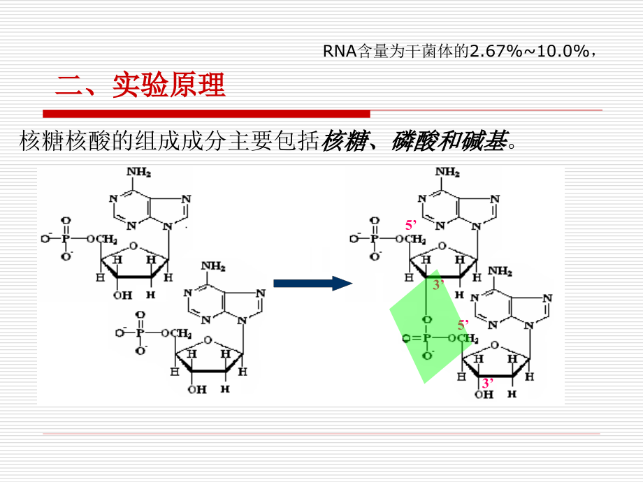 实验八核糖核酸的组分鉴定.ppt_第2页