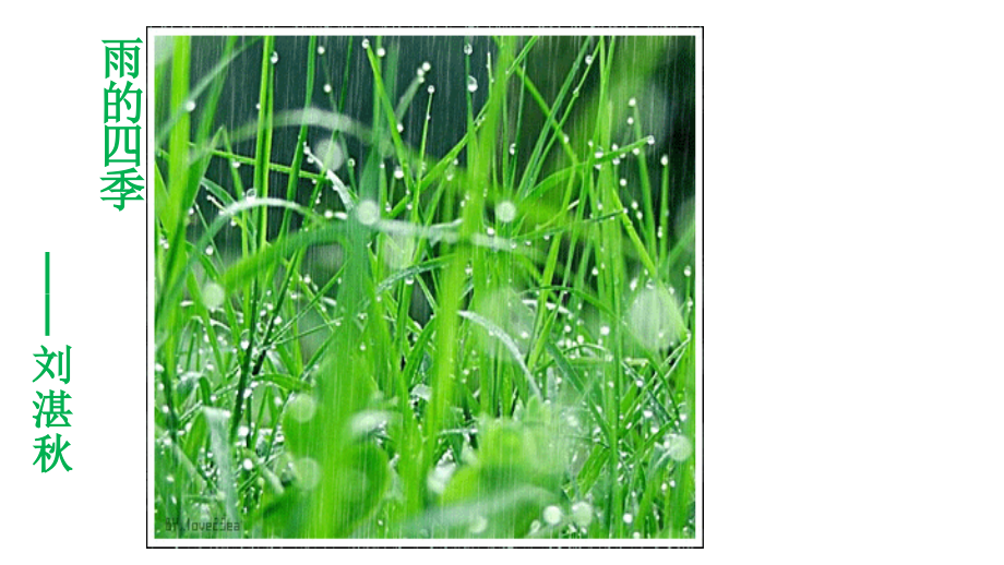 雨的四季.pptx_第2页