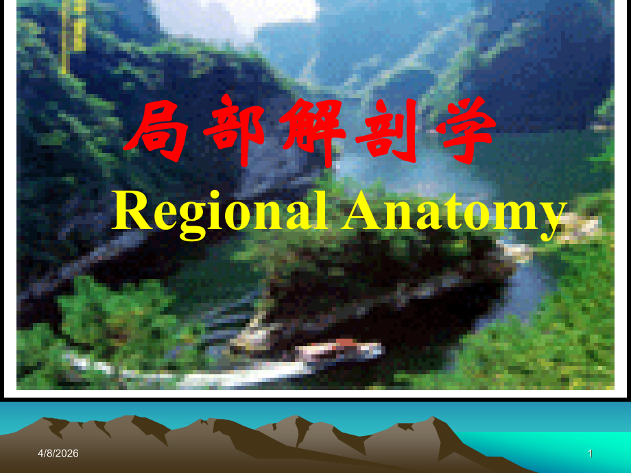 局部解剖学 胸部.ppt_第1页