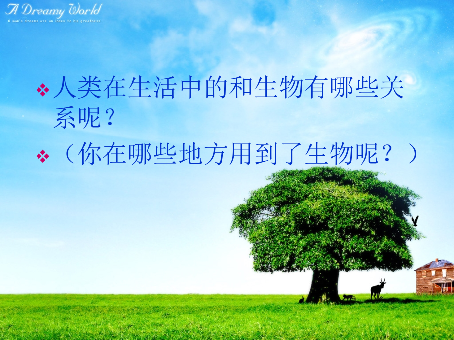 冀教版六年级科学 宝贵的生物资源.ppt_第2页