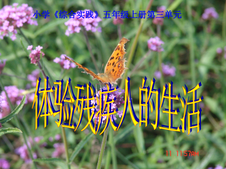 五年级综合实践活动——体验残疾人的生活.ppt_第1页