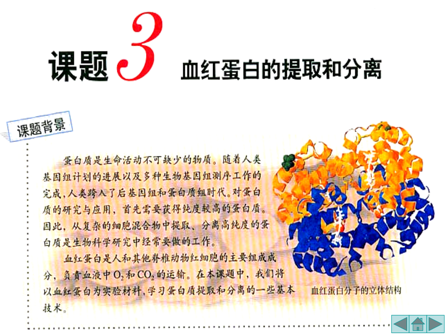 生物技术实践_血红蛋白的提取和分离_54页.ppt_第2页