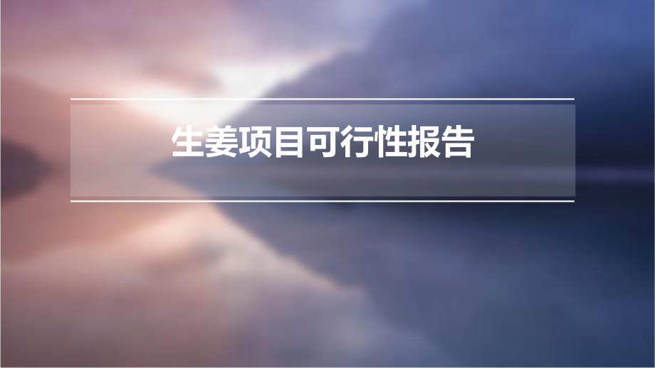 生姜项目可行性报告.pptx_第1页