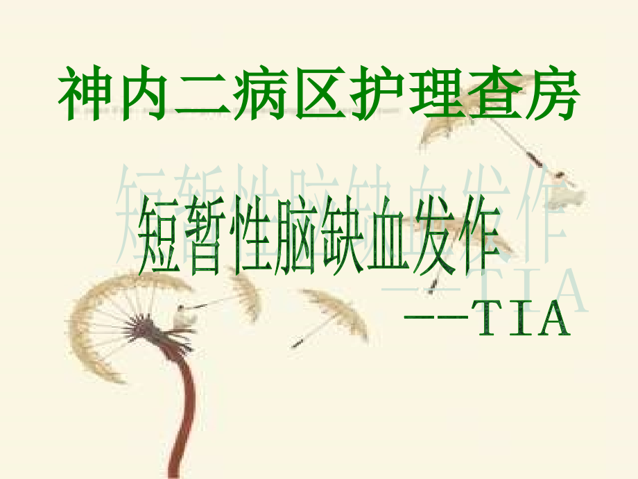 神内短暂性脑缺血发作幻灯片.ppt_第1页