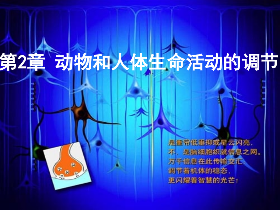 人教版教学课件人教生物必修三2-1 通过神经系统的调节.ppt_第1页