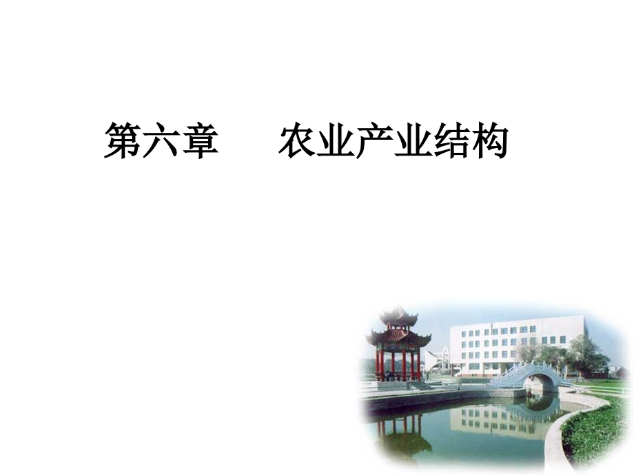 第六章农业产业结构.ppt_第1页