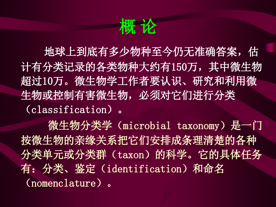 第十章 微生物的分类和鉴定.ppt_第2页