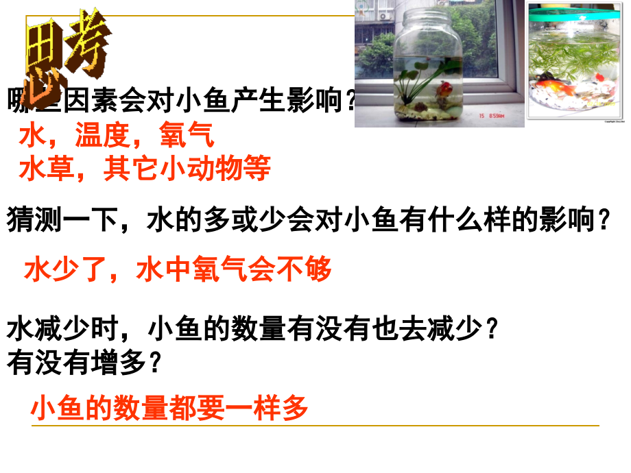 教科版科学五年级上册《改变生态瓶》PPT课件5.ppt_第2页