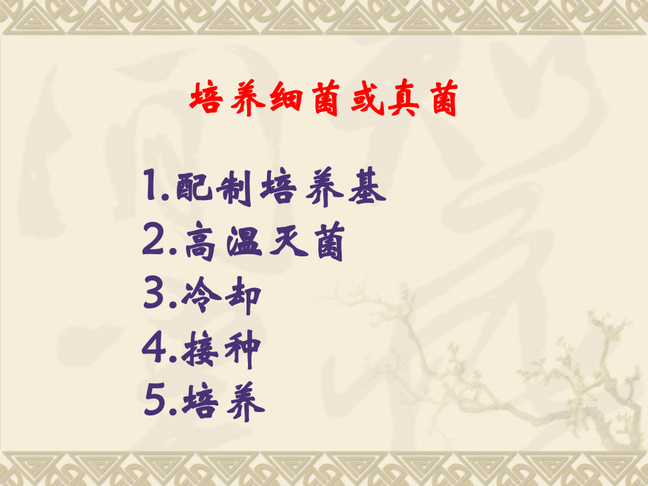 生物专题十一细菌和真菌.ppt_第2页