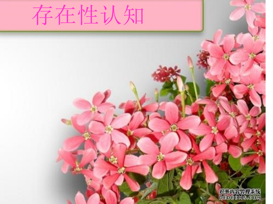 存在性认知.ppt_第1页