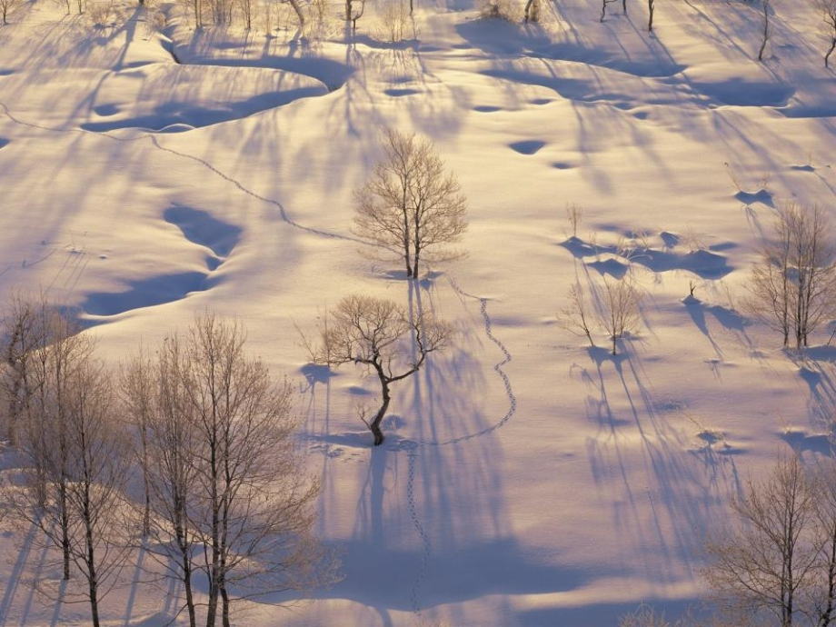 高清壁纸：美丽地球之冬季雪景(第3辑).pptx_第1页