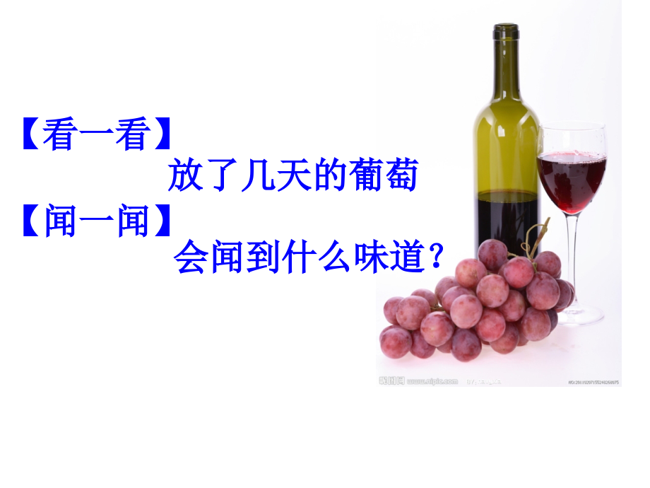 ATP的主要来源——细胞呼吸1.ppt_第1页