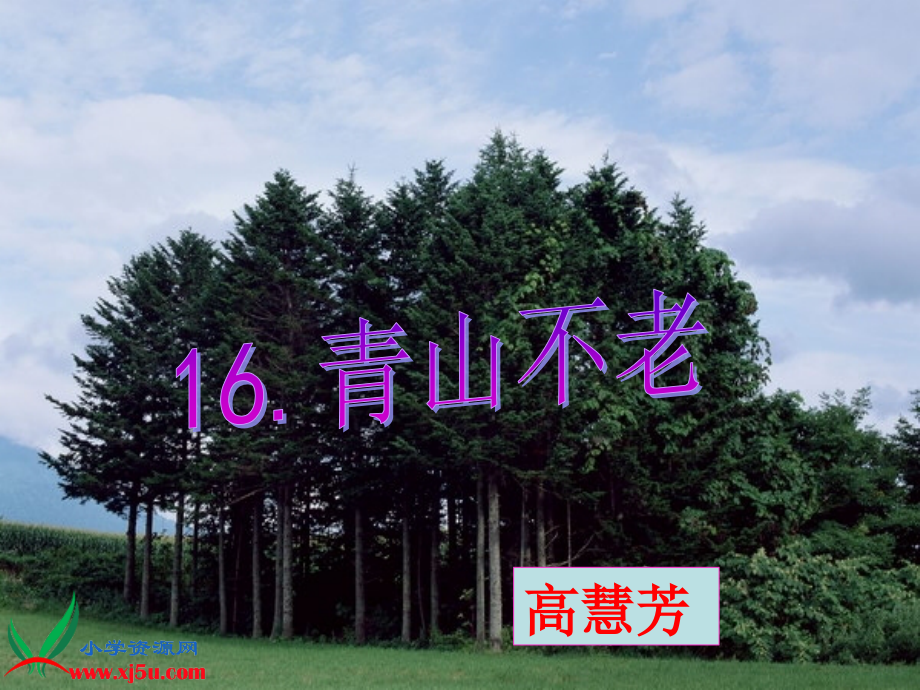 六年级语文上册第四组16.青山不老第一课时课件.ppt_第1页