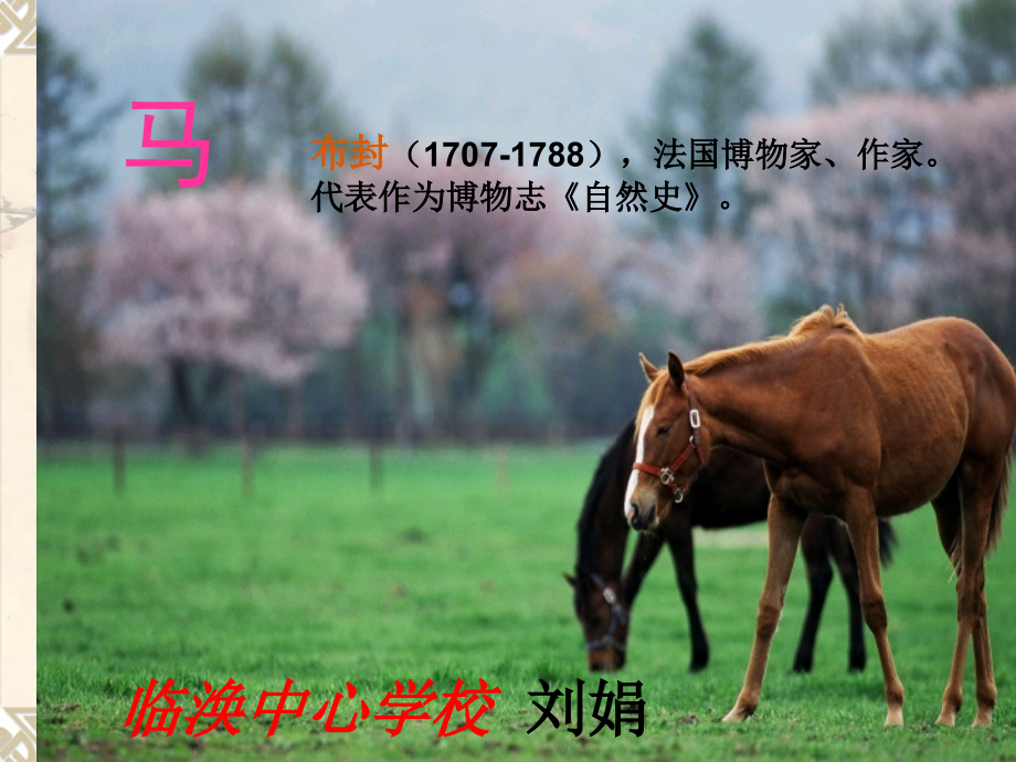七年级语文下册29课-马.ppt_第1页