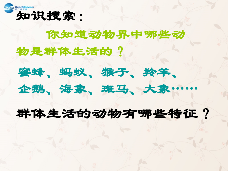 八年级生物上册 5.2.3 社会行为课件1 （新版）新人教版.ppt_第2页