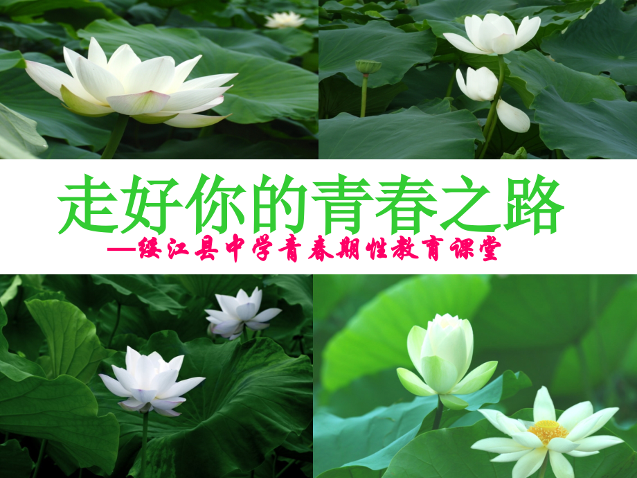 青春期性教育正用.ppt_第1页