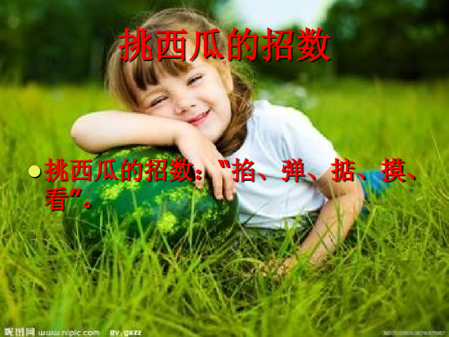 西瓜 第三组.ppt_第2页
