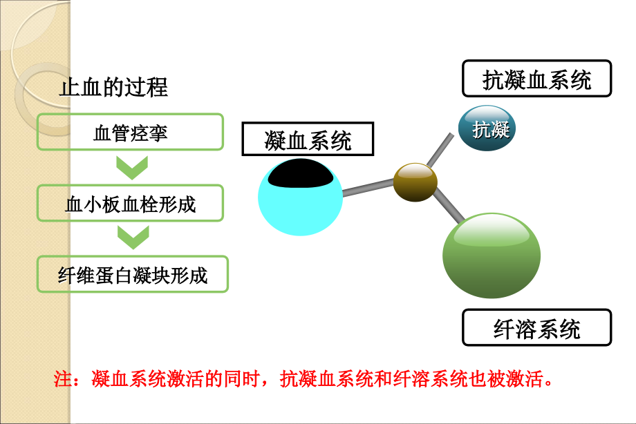 血小板GPIIbIIIa受体拮抗剂.ppt_第2页
