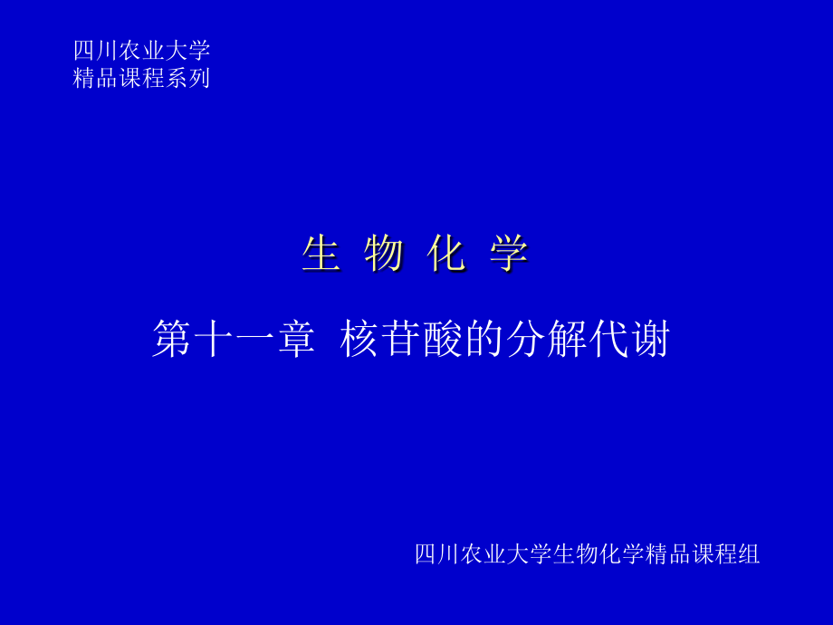 第十一章 核苷酸代谢.ppt_第1页
