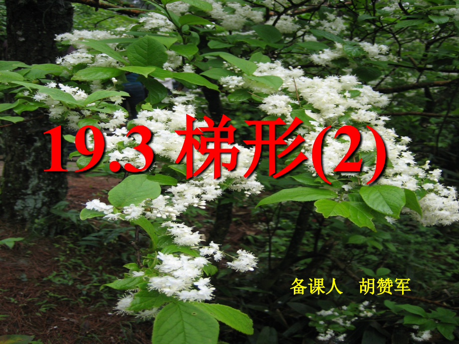 梯形的定义和分类.ppt_第1页