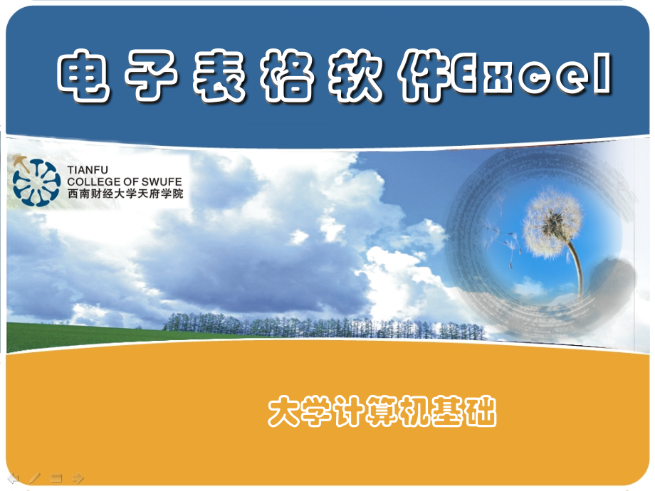 电子表格软件 Excel(4).ppt_第1页