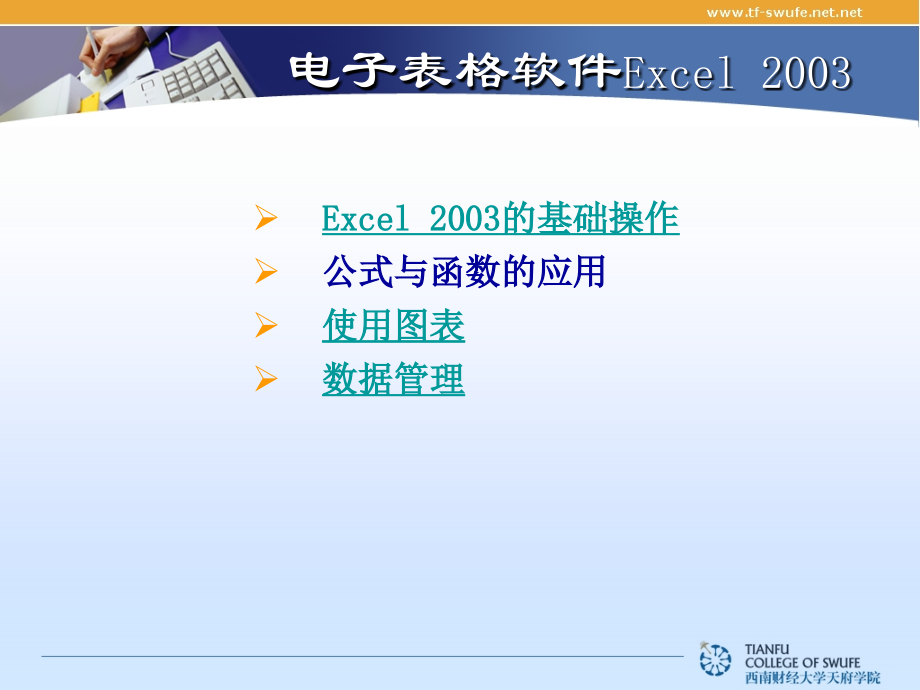 电子表格软件 Excel(4).ppt_第2页