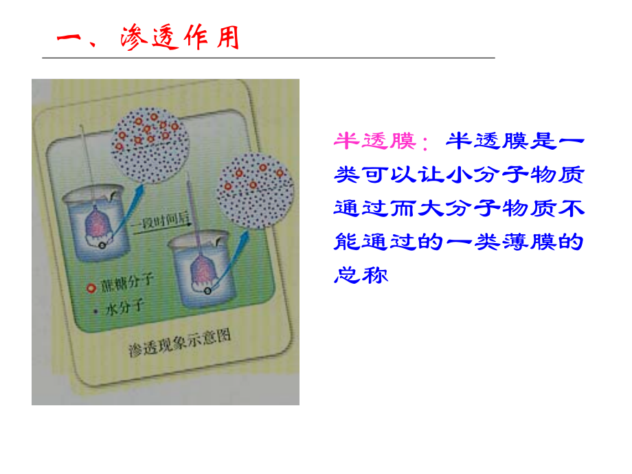 物质跨膜运输的实例课件.ppt_第2页