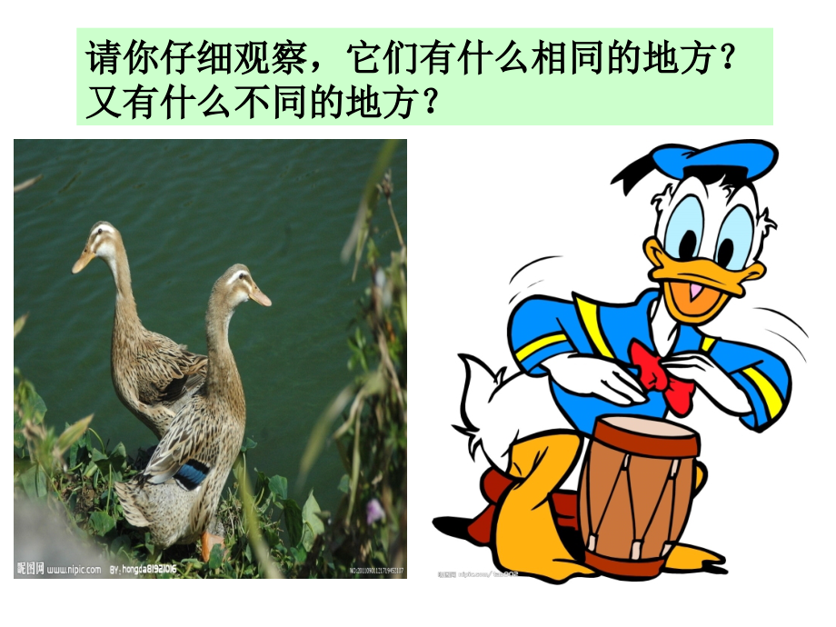 四年级上册第三单元作文Microsoft-PowerPoint-幻灯片.ppt_第2页