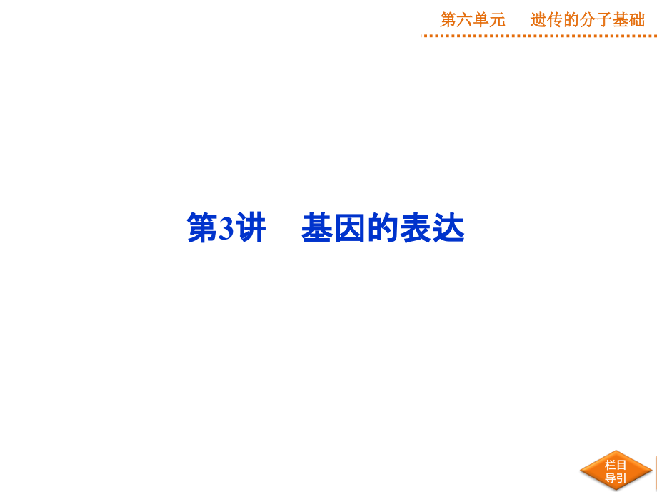 高三复习基因的表达.ppt_第1页